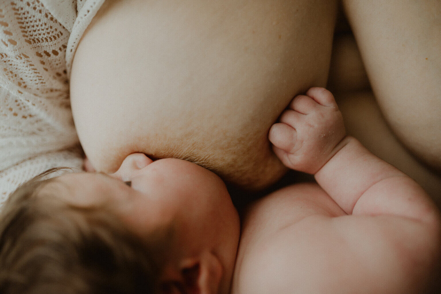 Maman qui allaite son nouveau-né en peau à peau, chez elle